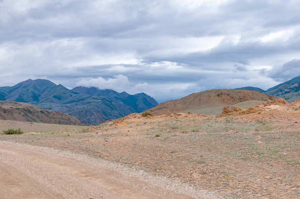 Чуйская степь летом и вид на Курайский хребет в горах Алтая, Республика Алтай, Сибирь, Россия
 - Фото, изображение