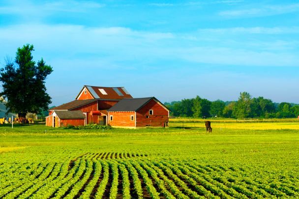 mezőgazdasági épület - Fotó, kép