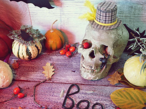 Dekoracyjny skład czaszki, dynie, liści i mistycznego wystroju z czerwonym oświetleniem na szarym drewnianym tle, Halloween, jesień, widok z góry - Zdjęcie, obraz