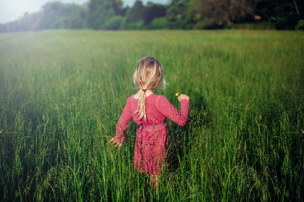 Blonde Caucasian girl in pink rustic dress walking in tall grass on meadow at sunset holding yellow flower. Happy child kid enjoying summer time. Village country rural life. View from back behind.  - Photo, Image