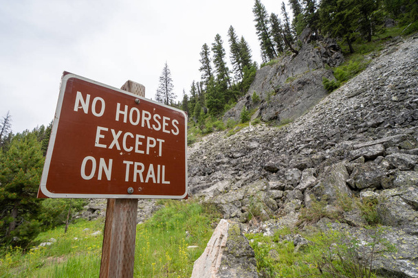 Sign for No Horses Except on Trail, restricting horses and horse - Photo, Image
