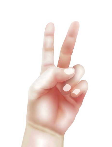 Человеческая рука, подающая знак победы, сделанная двумя пальцами
 - Фото, изображение