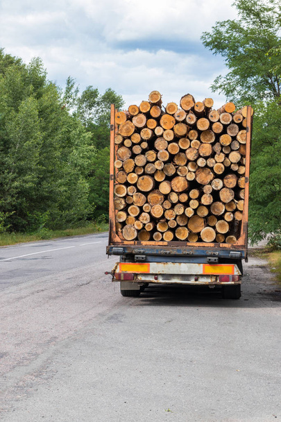 Dřevěný náklaďák s nákladem v lese na dálnici - Fotografie, Obrázek