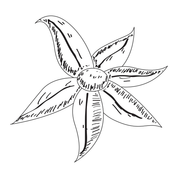 Sketch of a flower - Vector, Image