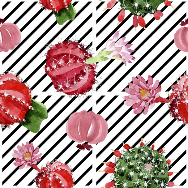 Red and green cacti watercolor illustration set. Seamless background pattern. - Photo, image