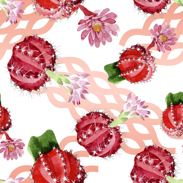 Red and green cacti watercolor illustration set. Seamless background pattern. - Foto, imagen