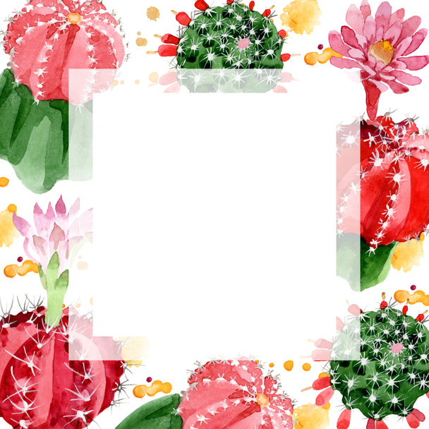 Red and green cacti isolated on white watercolor illustration frame with copy space - Valokuva, kuva