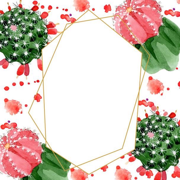Cactus rojos y verdes aislados en marco de ilustración de acuarela blanca con espacio de copia
 - Foto, Imagen