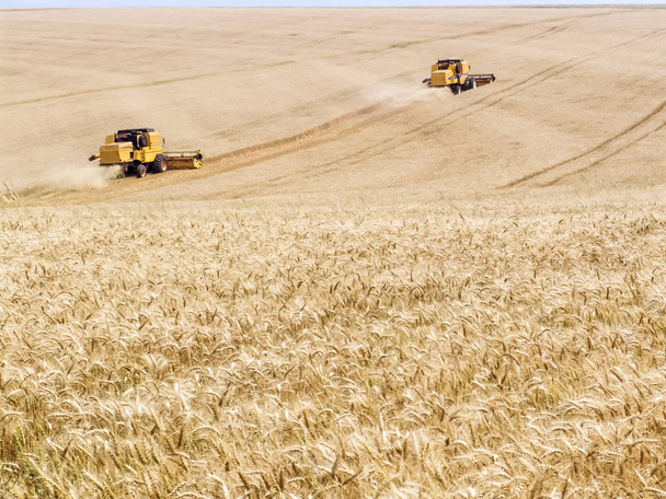 Комбайн для збирання зерна на пшеничному родовищі в Бразилії - Фото, зображення