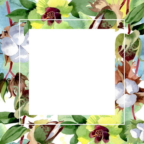 Cotton floral botanical flowers. Wild spring leaf wildflower isolated. Watercolor background illustration set. Watercolour drawing fashion aquarelle isolated. Frame border ornament square. - Foto, Imagem