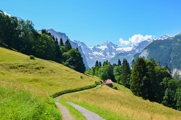Αλπικό μονοπάτι στους λόφους κοντά στις Ελβετικές Άλπεις. Ο δρόμος οδηγεί σε μικρό ορεινό σαλέ. Φωτογραφημένο την καλοκαιρινή σεζόν. Πράσινο τοπίο. Βουνά στο παρασκήνιο - Φωτογραφία, εικόνα