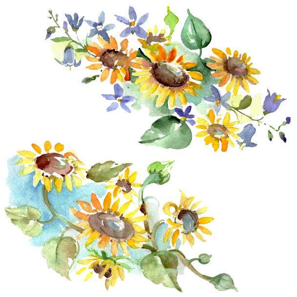 Bouquet with sunflowers floral botanical flowers. Wild spring leaf wildflower. Watercolor background illustration set. Watercolour drawing fashion aquarelle. Isolated bouquets illustration element. - Foto, imagen