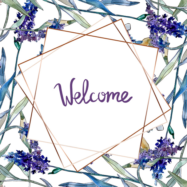 Lavender floral botanical flowers. Watercolor background illustration set. Frame border ornament square. - Фото, изображение