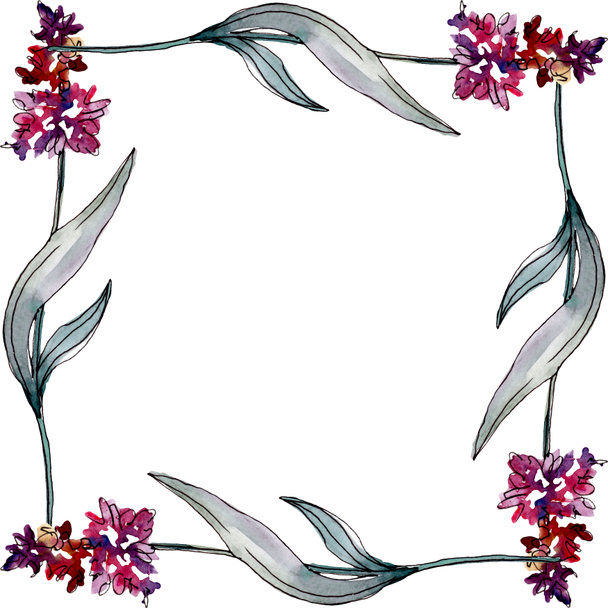 Lavender floral botanical flowers. Watercolor background illustration set. Frame border ornament square. - Foto, afbeelding