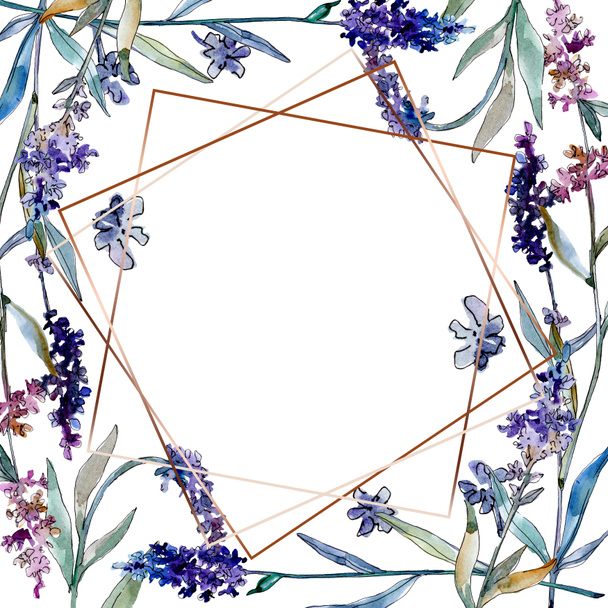 Lavender floral botanical flowers. Watercolor background illustration set. Frame border ornament square. - 写真・画像