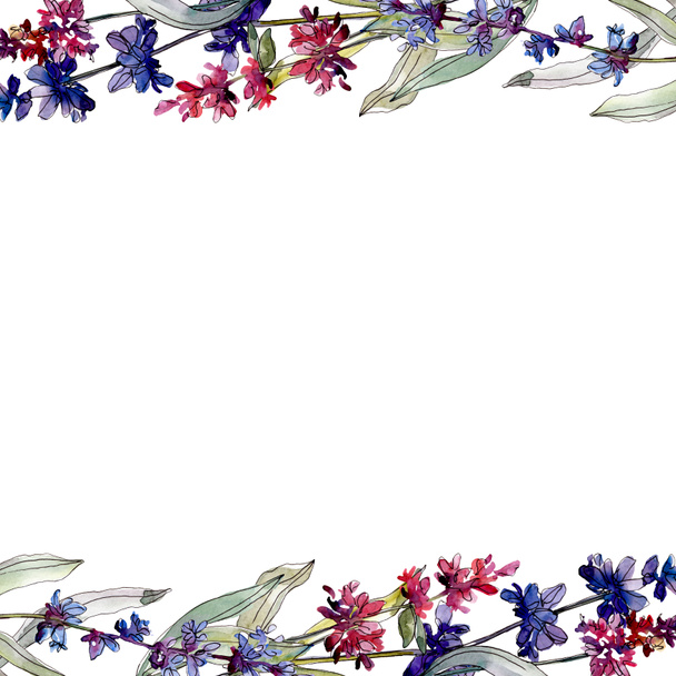 Lavanda flores botánicas florales. Conjunto de ilustración de fondo acuarela. Marco borde ornamento cuadrado
. - Foto, Imagen