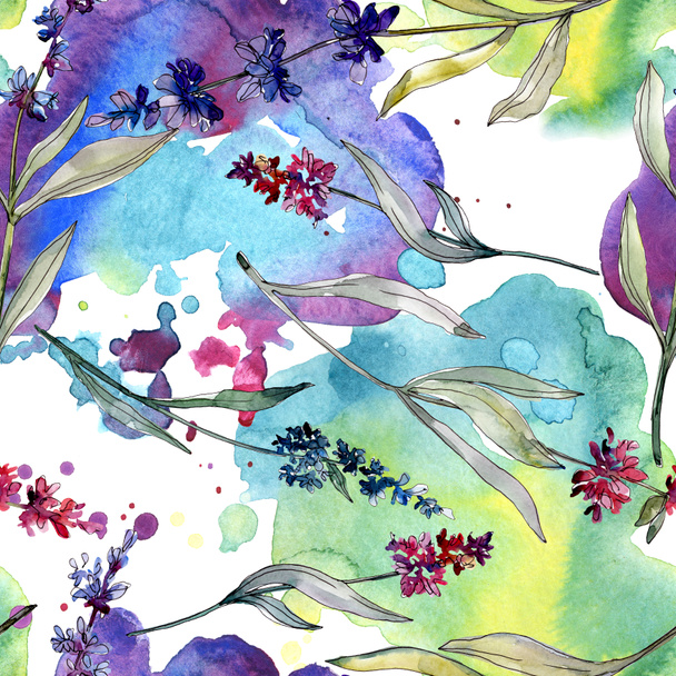 Lavendel bloemen botanische bloemen. Aquarel achtergrond illustratie instellen. Naadloos achtergrond patroon. - Foto, afbeelding