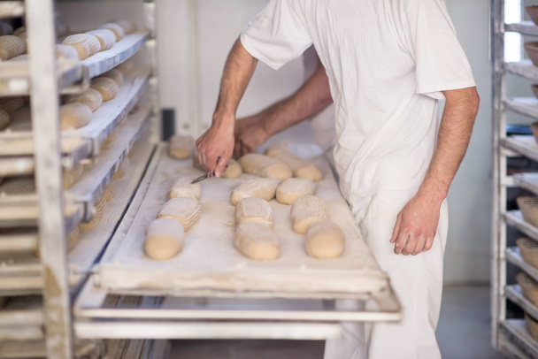 bakers preparing the dough - 写真・画像