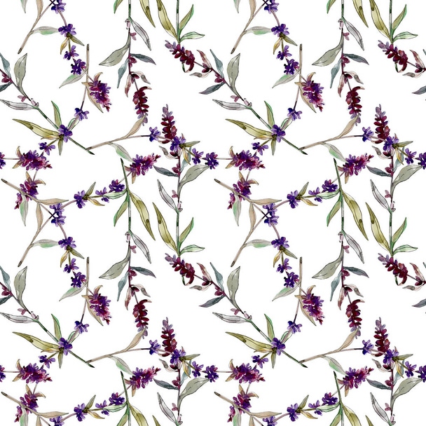 Purple lavender floral botanical flowers. Wild spring leaf wildflower. Watercolor illustration set. Watercolour drawing fashion aquarelle. Seamless background pattern. Fabric wallpaper print texture. - Fotoğraf, Görsel