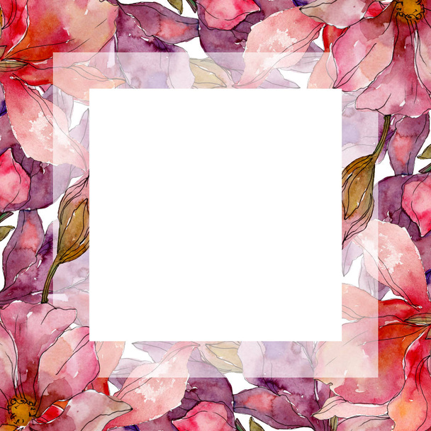 Camelia floral botanical flowers. Watercolor background illustration set. Frame border ornament square. - 写真・画像