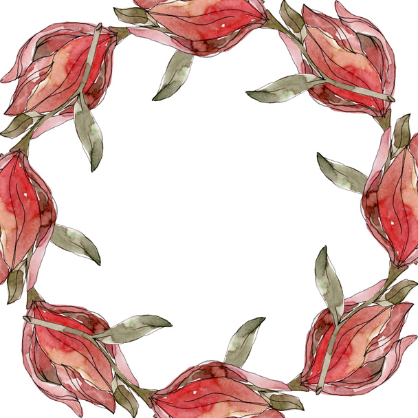 camelia florale botanische blumen. Aquarell Hintergrundillustration Set. Rahmen Rand Ornament Quadrat. - Foto, Bild