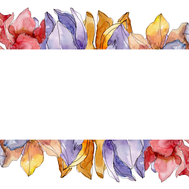 Camelia floral botanical flowers. Watercolor background illustration set. Frame border ornament square. - Foto, imagen