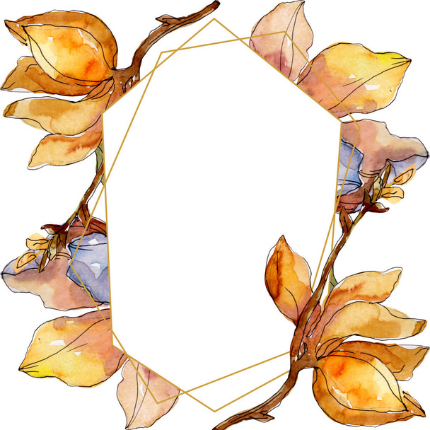 Camelia flores botânicas florais. Conjunto de ilustração de fundo aquarela. Quadro borda ornamento quadrado
. - Foto, Imagem