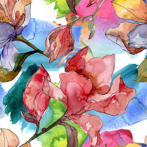 Camelia flores botânicas florais. Conjunto de ilustração de fundo aquarela. Padrão de fundo sem costura
. - Foto, Imagem