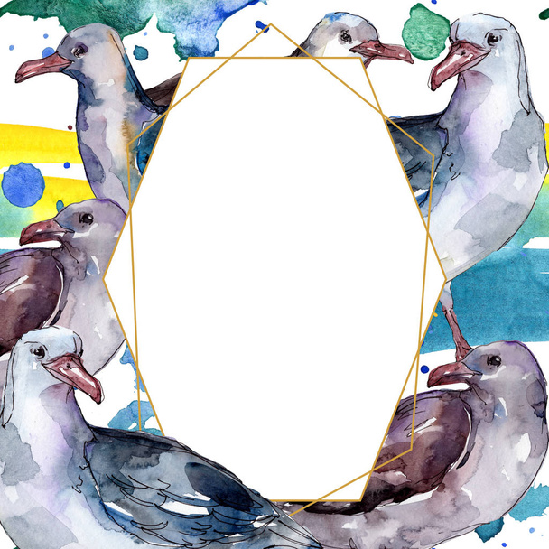 孤立した野生動物のスカイ鳥カモメ。野生の自由、飛ぶ翼を持つ鳥。●水彩背景イラストセット。水彩画ファッションアクアレル。フレームボーダーオーナメント正方形. - 写真・画像
