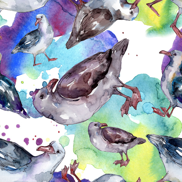 Sky bird seagull in a wildlife. Wild freedom, bird with a flying wings. Watercolor illustration set. Watercolour drawing fashion aquarelle. Seamless background pattern. Fabric wallpaper print texture. - Фото, изображение