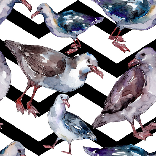 Sky bird seagull in a wildlife. Wild freedom, bird with a flying wings. Watercolor illustration set. Watercolour drawing fashion aquarelle. Seamless background pattern. Fabric wallpaper print texture. - Foto, Imagem