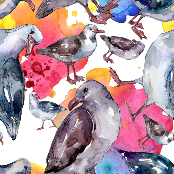 Sky bird seagull in a wildlife. Wild freedom, bird with a flying wings. Watercolor illustration set. Watercolour drawing fashion aquarelle. Seamless background pattern. Fabric wallpaper print texture. - Φωτογραφία, εικόνα