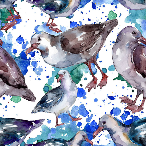 Sky bird seagull in a wildlife. Wild freedom, bird with a flying wings. Watercolor illustration set. Watercolour drawing fashion aquarelle. Seamless background pattern. Fabric wallpaper print texture. - Fotoğraf, Görsel