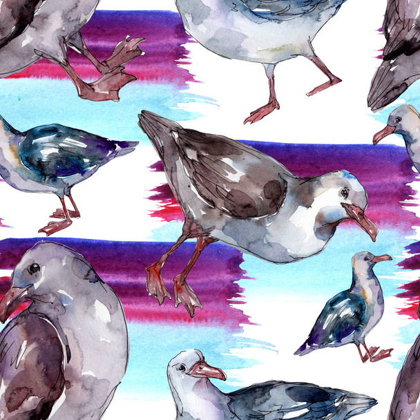 Sky bird seagull in a wildlife. Wild freedom, bird with a flying wings. Watercolor illustration set. Watercolour drawing fashion aquarelle. Seamless background pattern. Fabric wallpaper print texture. - Foto, Bild