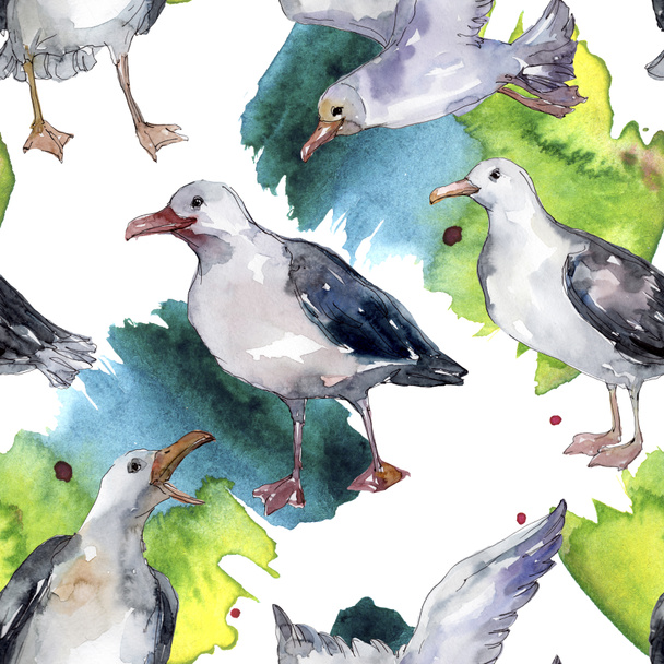 Sky bird seagull in a wildlife. Wild freedom, bird with a flying wings. Watercolor illustration set. Watercolour drawing fashion aquarelle. Seamless background pattern. Fabric wallpaper print texture. - Photo, Image