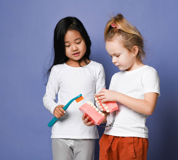 Two children friends with toothbrushes hold big dental implant model try to brush teeth. Oral hygiene and moth health - Photo, Image
