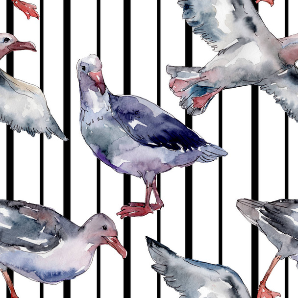 Sky bird seagull in a wildlife. Wild freedom, bird with a flying wings. Watercolor illustration set. Watercolour drawing fashion aquarelle. Seamless background pattern. Fabric wallpaper print texture. - Valokuva, kuva