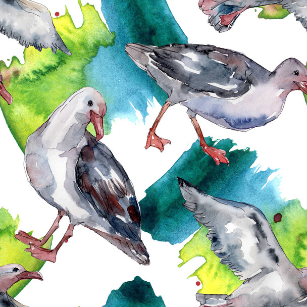 Sky bird seagull in a wildlife. Wild freedom, bird with a flying wings. Watercolor illustration set. Watercolour drawing fashion aquarelle. Seamless background pattern. Fabric wallpaper print texture. - Zdjęcie, obraz