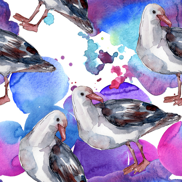 Sky bird seagull in a wildlife. Wild freedom, bird with a flying wings. Watercolor illustration set. Watercolour drawing fashion aquarelle. Seamless background pattern. Fabric wallpaper print texture. - Foto, afbeelding