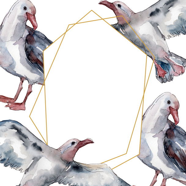 Sky bird seagull in a wildlife. Wild freedom, bird with a flying wings. Watercolor background illustration set. Watercolour drawing fashion aquarelle isolated. Frame border ornament square. - 写真・画像