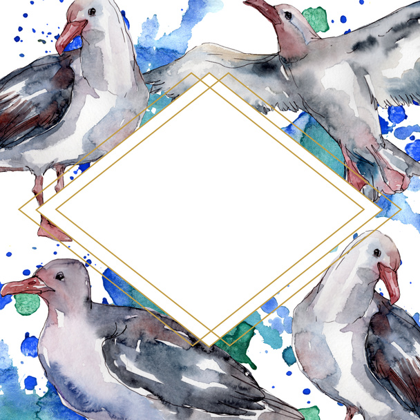Sky bird seagull in a wildlife. Wild freedom, bird with a flying wings. Watercolor background illustration set. Watercolour drawing fashion aquarelle isolated. Frame border ornament square. - Foto, immagini