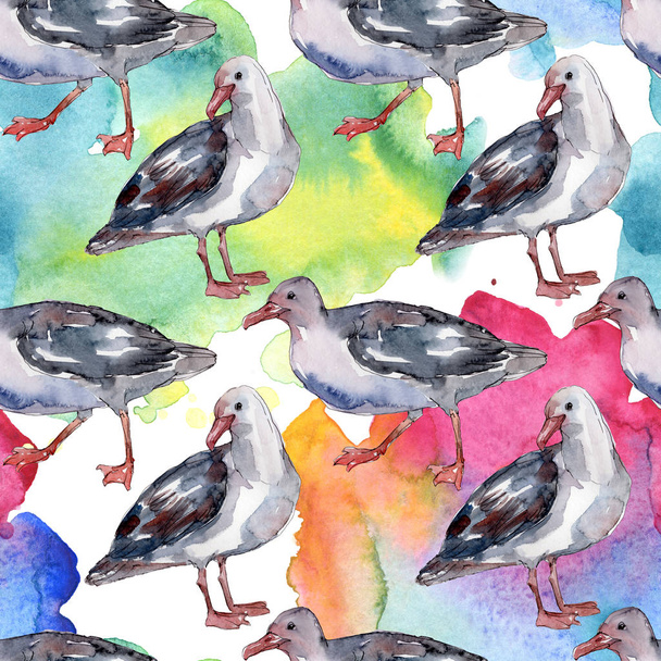 Sky bird seagull in a wildlife. Wild freedom, bird with a flying wings. Watercolor illustration set. Watercolour drawing fashion aquarelle. Seamless background pattern. Fabric wallpaper print texture. - Foto, afbeelding