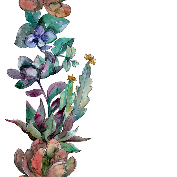 Succulents floral botanical flowers. Wild spring leaf wildflower. Watercolor illustration set. Watercolour drawing fashion aquarelle. Seamless background pattern. Fabric wallpaper print texture. - Fotó, kép