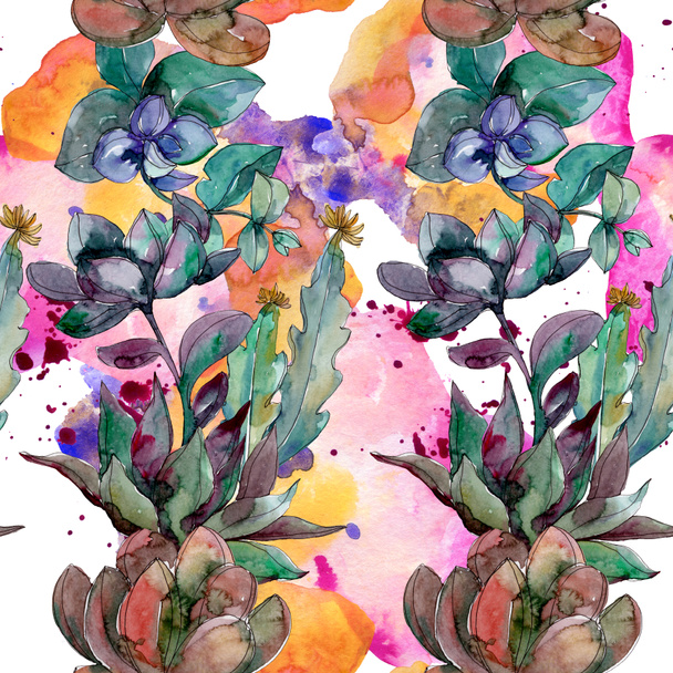 Succulents floral botanical flowers. Wild spring leaf wildflower. Watercolor illustration set. Watercolour drawing fashion aquarelle. Seamless background pattern. Fabric wallpaper print texture. - Fotografie, Obrázek