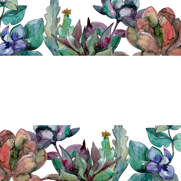 Succulents floral botanical flowers. Wild spring leaf wildflower isolated. Watercolor background illustration set. Watercolour drawing fashion aquarelle isolated. Frame border ornament square. - Photo, Image
