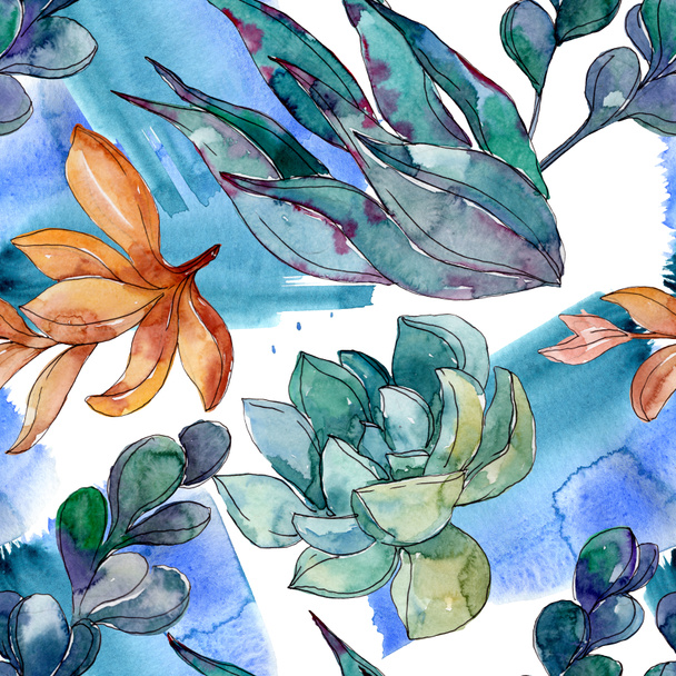 Succulents floral botanical flowers. Wild spring leaf wildflower. Watercolor illustration set. Watercolour drawing fashion aquarelle. Seamless background pattern. Fabric wallpaper print texture. - Foto, immagini