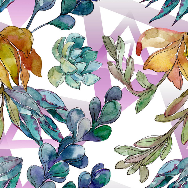 Succulents floral botanical flowers. Wild spring leaf wildflower. Watercolor illustration set. Watercolour drawing fashion aquarelle. Seamless background pattern. Fabric wallpaper print texture. - Fotoğraf, Görsel