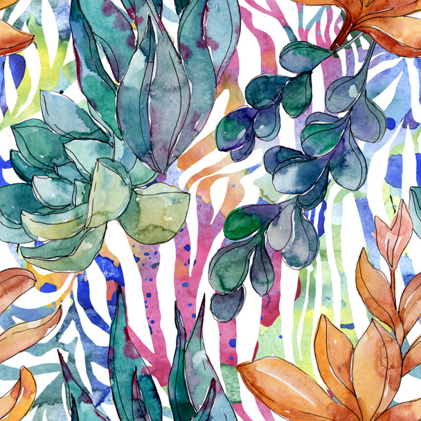 Succulents floral botanical flowers. Wild spring leaf wildflower. Watercolor illustration set. Watercolour drawing fashion aquarelle. Seamless background pattern. Fabric wallpaper print texture. - Foto, afbeelding
