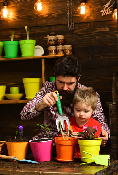 Family day. Greenhouse. bearded man and little boy child love nature. Father and son. Fathers day. happy gardeners with spring flowers. Flower care watering. Soil fertilizers. Love my work - 写真・画像