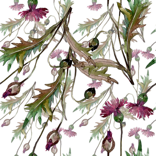Wildflowers virágos botanikai virágok. Akvarell háttér illusztráció meg. Folytonos háttérmintázat. - Fotó, kép
